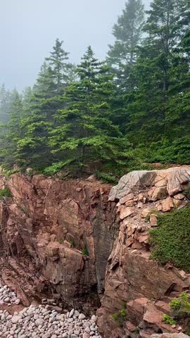 Foggy Boulder Beach and Forested Granite Coast (Acadia National Park, Maine, USA)