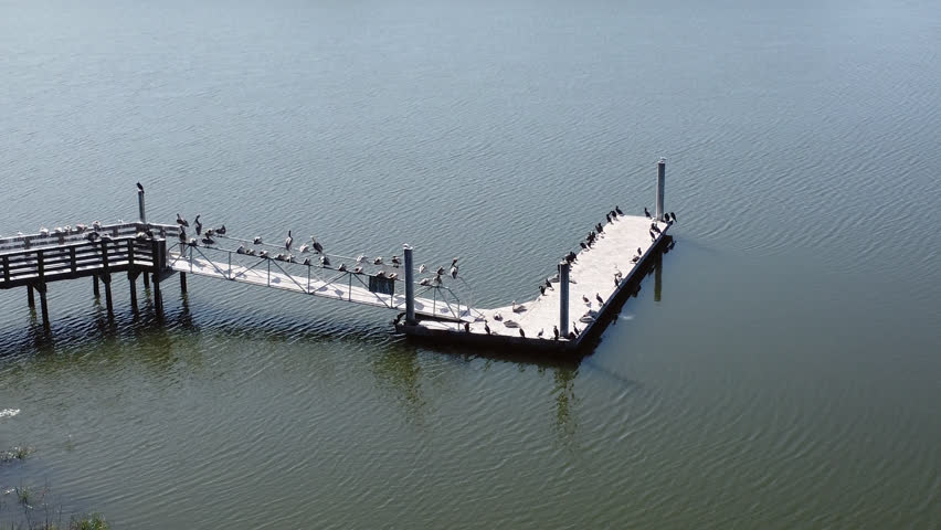  Birds perched on a dock in upper Florida drone shot  