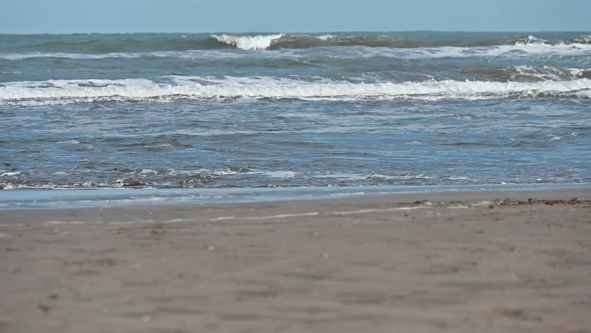 Birds on the ocean shore, Waves crashing against rocky shore under sky