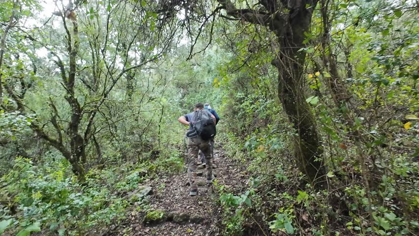 Two hikers walking uphill on a forest trail