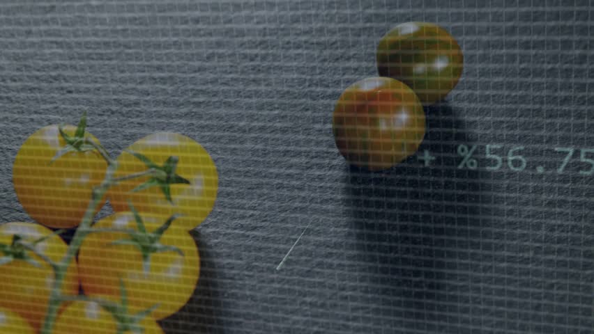 Yellow cherry tomato cluster undergoing food scan, HUD fading, collecting data, plotting pie. Augmentedreality, visualization, analytics, overlay, waveform, bars, ring