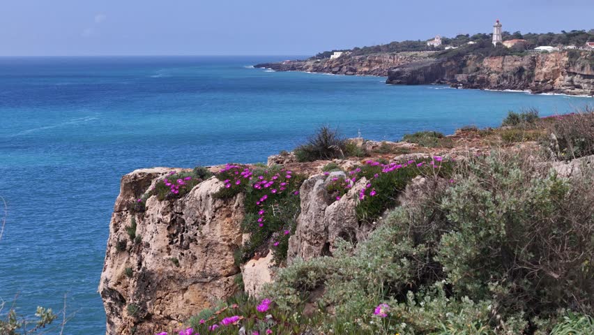 Aerial view of the Guia lighthouse perched on rugged cliffs with blooming pink flowers overlooking the turquoise Atlantic Ocean in Cascais, Lisbon, Portugal.
