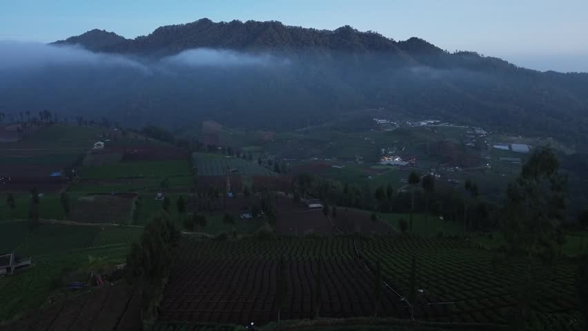 The beauty of the top of Brakseng Hill in Batu City above the terraced agricultural land and visible above the clouds and beautiful mountains.