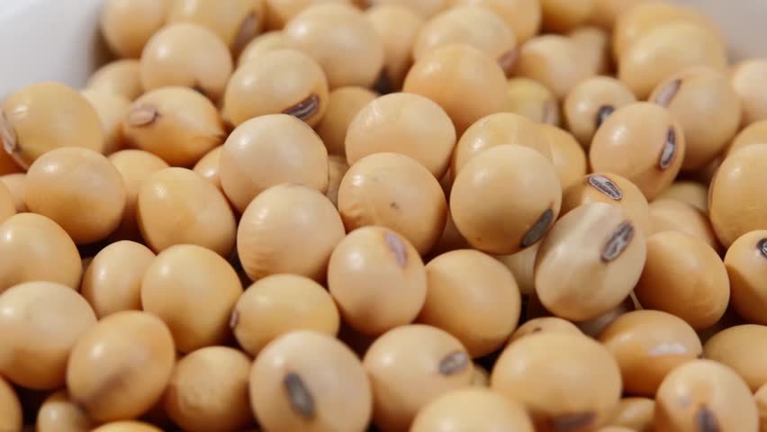 video of soy beans in a bowl	