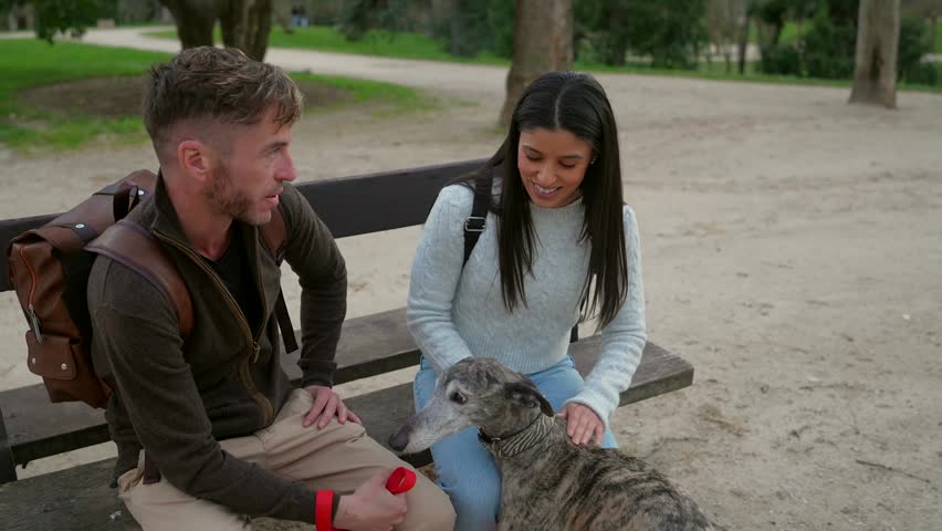 Lovely multiethnic couple sitting on a wooden bench in a public park, enjoying a pleasant conversation while the woman affectionately pets their beautiful brindle greyhound dog