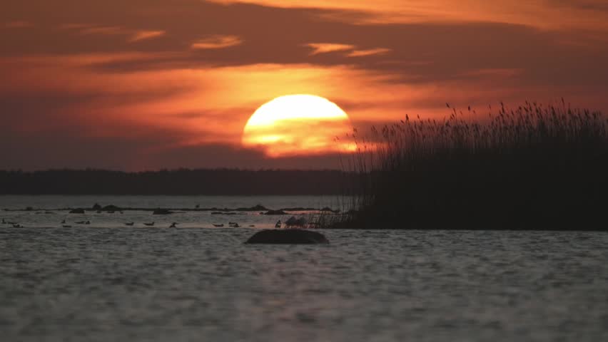 View of a sunset over the lake with birds flying in the sky and reflections on the water surface.