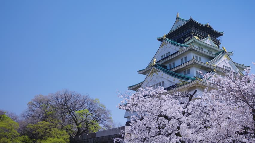 Osaka Castle in Spring, Japan Establishing Shot with Sakura Tree