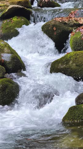 Mountain Stream Flows Between Mossy Rocks in Spring Nature
