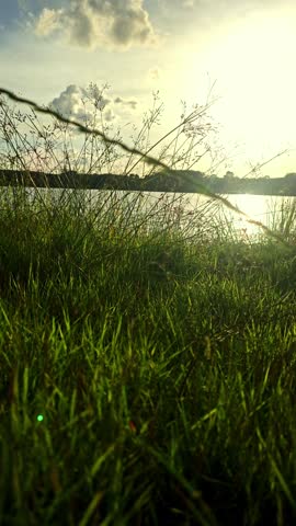 Sunset Light over Grass Field