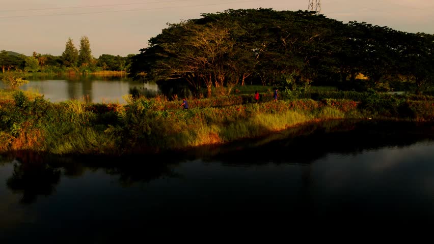 Sunset Light over Grass Field