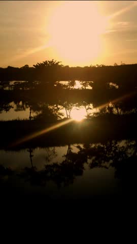 Sunset Light over Grass Field