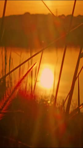 Sunset Light over Grass Field