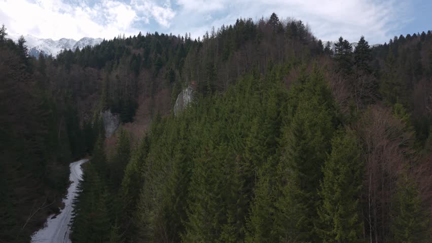 Aerial drone rising shot through conifer and deciduous forest to reveal the snow-capped ridge of Piatra Craiului mountain range in the Carpathian Mountains of Romania