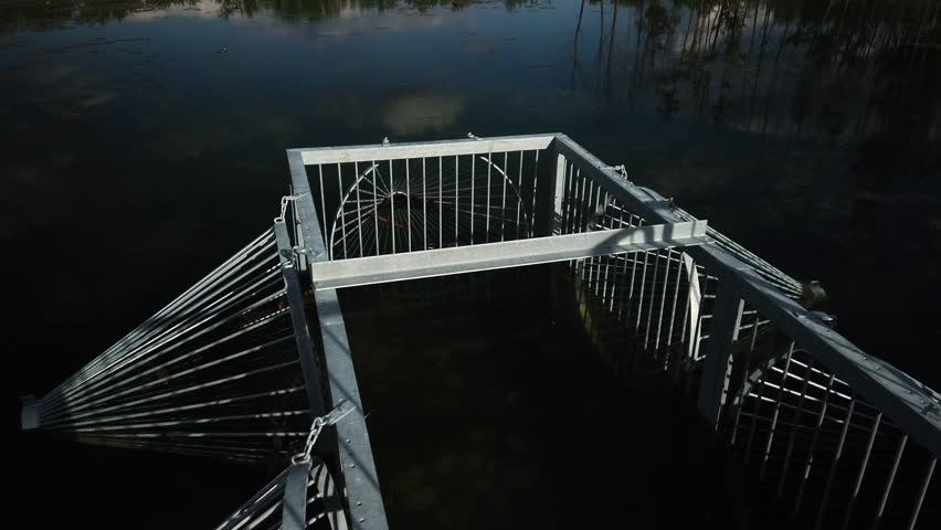 Metallic fish trap in foreground, smooth pond surface and wooded shoreline in background at Tommy Thompson Park, wide shot with tilt up
