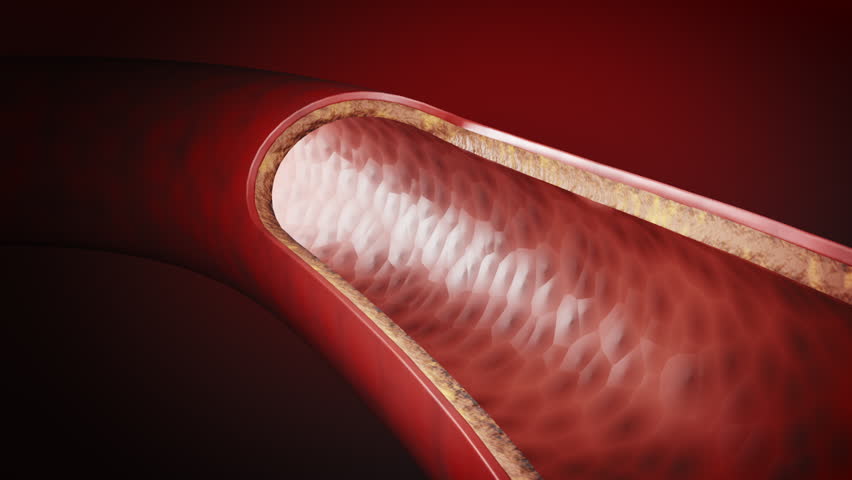 Red blood cells in an artery or blood vessel , flow inside body, medical human health-care. 3D Rendering.Blood cells in motion within an artery, showcasing scientific research, cardiovascular health