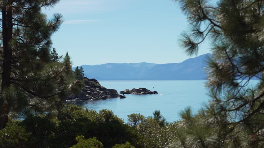 Lake Tahoe scenery framed by pine trees with calm water and rocky shoreline