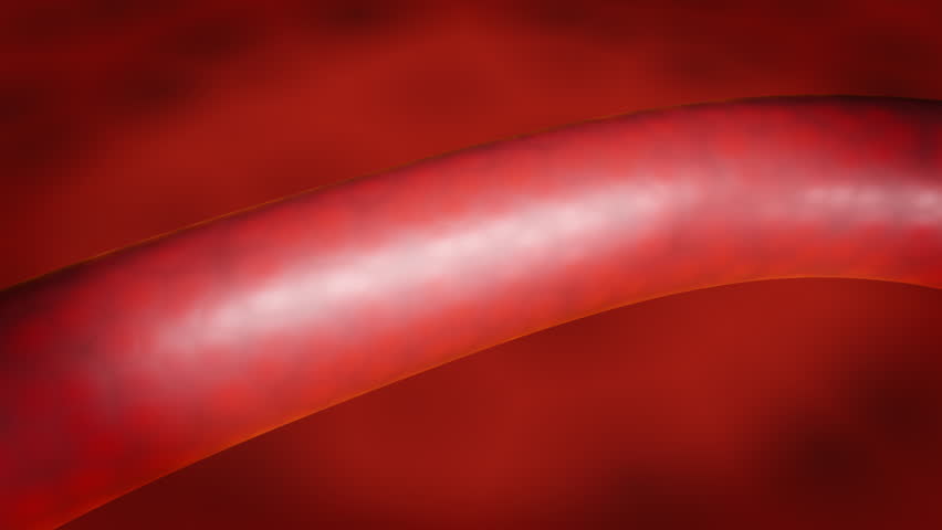 Red blood cells in an artery or blood vessel , flow inside body, medical human health-care. 3D Rendering.Blood cells in motion within an artery, showcasing scientific research, cardiovascular health