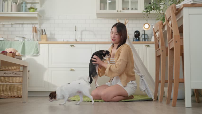Young woman holding cat and dog in kitchen, calm indoor home scene with pet care, cozy room, nearby puppy, white interior, sitting on floor, domestic lifestyle, caring owner