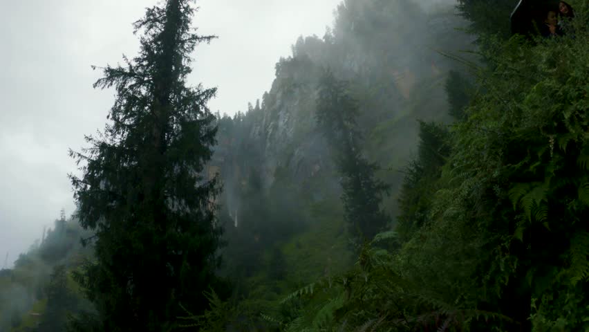 Misty mountain with pine trees, clouds and rain near Jogini waterfall, Manali, India. Rainy weather dark landscape. Nature travel background.