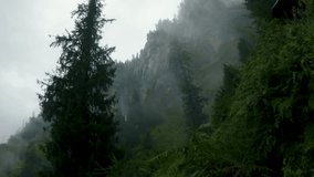 Misty mountain with pine trees, clouds and rain near Jogini waterfall, Manali, India. Rainy weather dark landscape. Nature travel background. - Powered by Shutterstock - Get 15% off with code: PIKWIZARD15