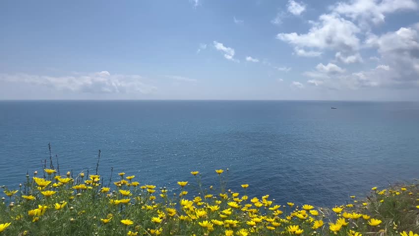 Nature scenery by the sea with summer flowers