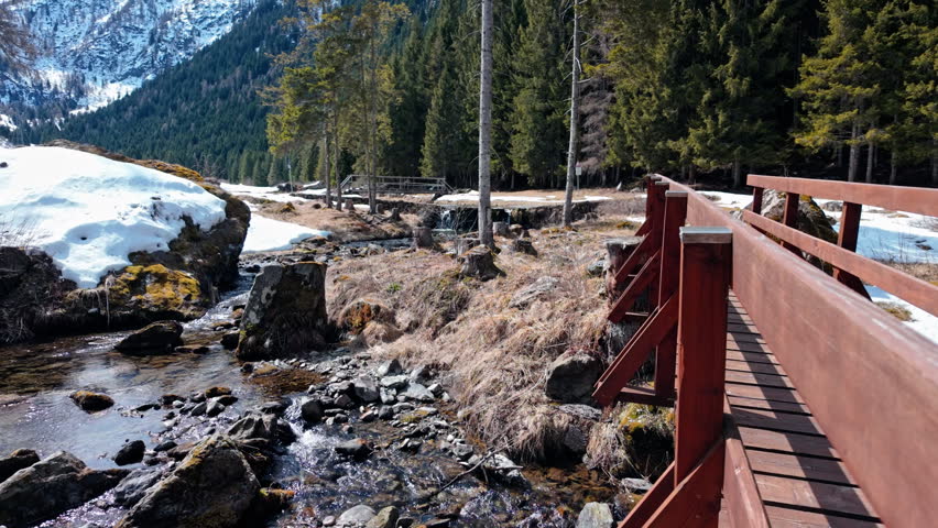 Scenic Swiss Alps with snowy peaks, forest, and wooden bridge