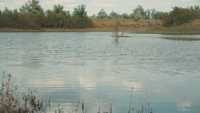 Peaceful natural landscape of quiet lake with gentle ripples. Cloudy sky reflects on water surface. Green trees and dry grass grow on distant shore. Serene, tranquil mood. Soft, diffused light