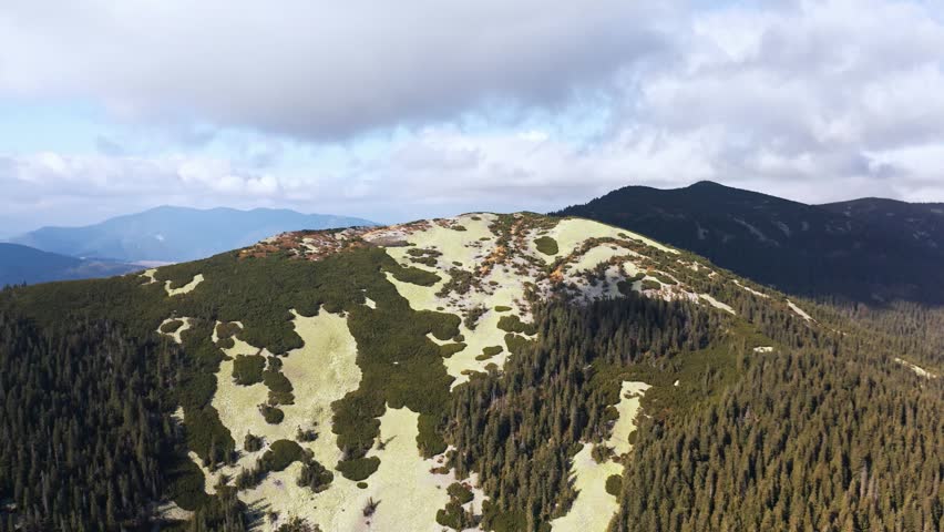 Evergreen forest on top of high stone mountain under blue sky