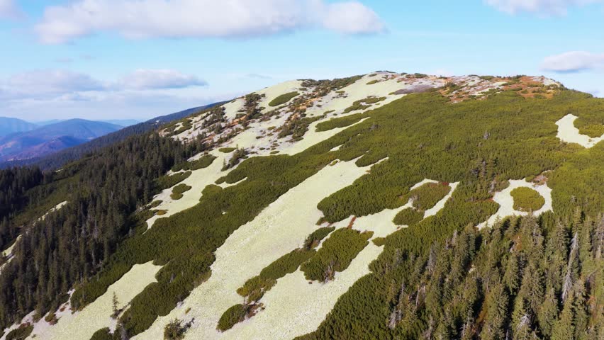 Evergreen forest on top of high stone mountain under blue sky