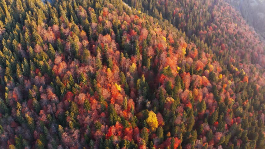 Mountain ridge with terracotta forests under cloudy sky