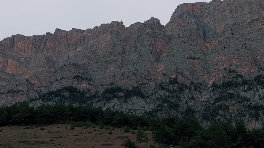 Rocky cliff wall above forest edge in mountain landscape