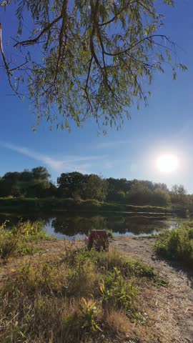 Timelapse of a summer sunset over the Siverskyi Donets River in Eastern Ukraine. Warm sunlight reflects on the calm water, while tree silhouettes and hanging branches create a peaceful natural atmosphere. The clear sky slowly shifts in color, highlighting the serene evening landscape along the riverbank.