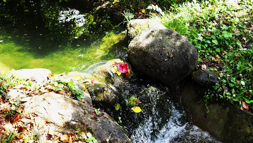 A small creek in close up with a small waterfall, nature scenery, water spring in the mountains