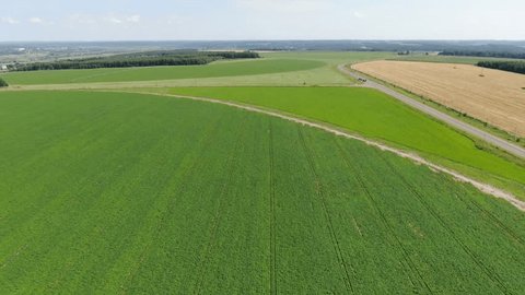 High Altitude Drone Retreat over Agricultural Potato
