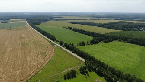 Drone Flying Forward above Green Agricultural Fields