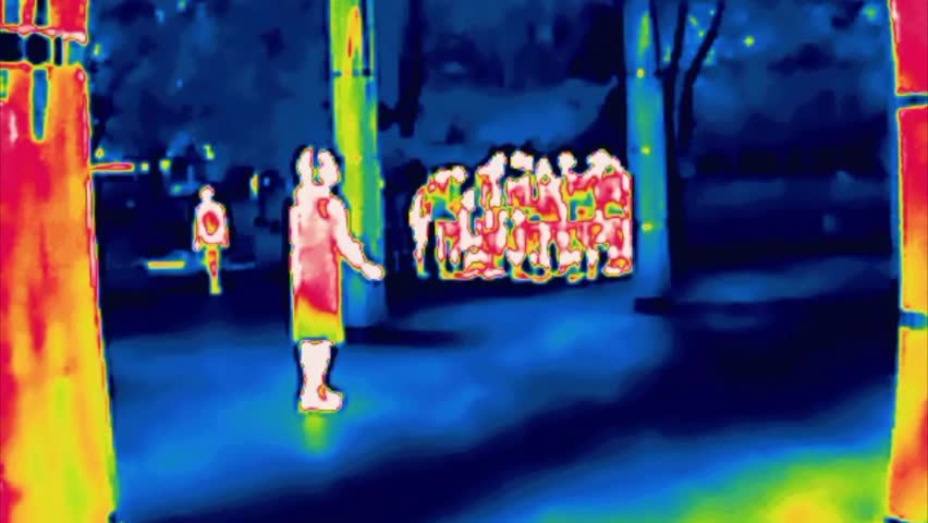 A group of children, young naturalists. A girl catches a butterfly. Image from thermal imager device