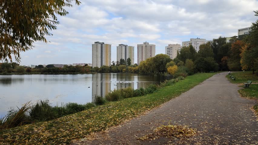 Willows and linden trees with yellowed foliage grow on the shore of the lake next to an asphalt pedestrian path strewn with fallen leaves. There are residential buildings on the far shore. Sunny autumn weather, leaf fall and blue sky