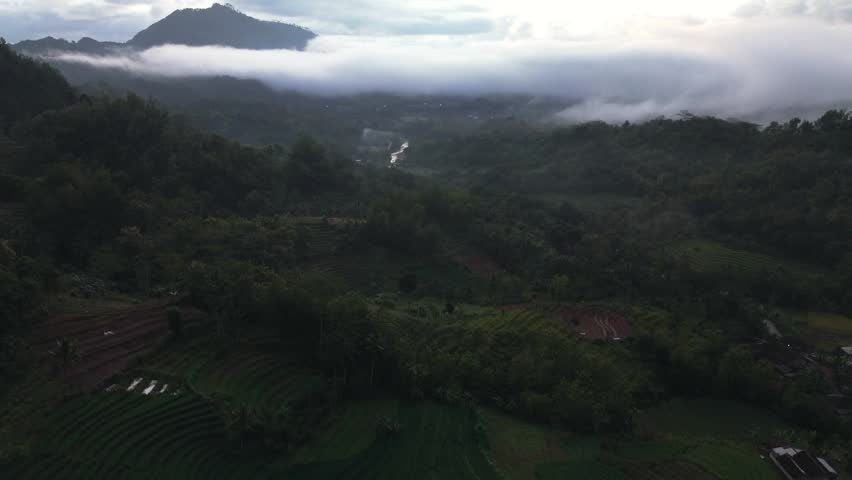 Aerial view of misty mountains with fog rolling through tropical valley at dawn.