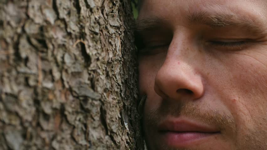 Close up man tenderly embracing tree trunk with eyes closed, then slowly opening them, feeling deep connection with nature, finding peace, tranquility in forest. Young man hugging tree, feeling nature