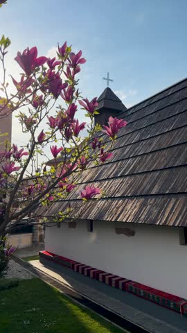 Saint Mark Orthodox Church stands in a courtyard with a magnolia tree under bright sunny daylight in Uzice, Serbia.