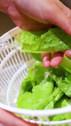 Close-up shot of hands rinsing fresh romaine lettuce leaves in a white colander under water