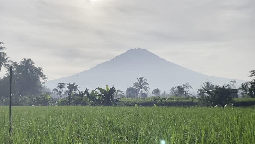 A serene landscape of a lush green field with trees and a majestic mountain in the background under a cloudy sky on a sunny day with  elements