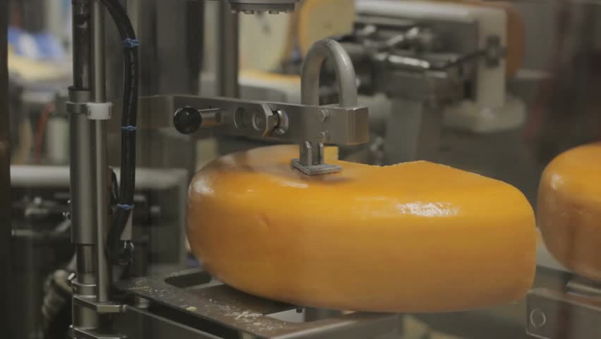 Cheese being produced on an industrial scale milk factory HD