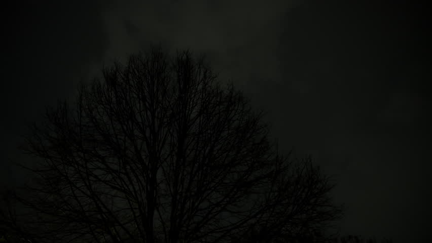 Stormy sky behind the tree. Flashing lightening of thunderstorm strike the sky above trees