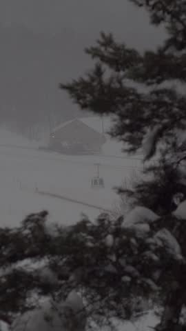 Vertical winter landscape of a Japanese ski resort seen through snow-covered pine branches, featuring a solitary gondola moving in a heavy snowstorm.