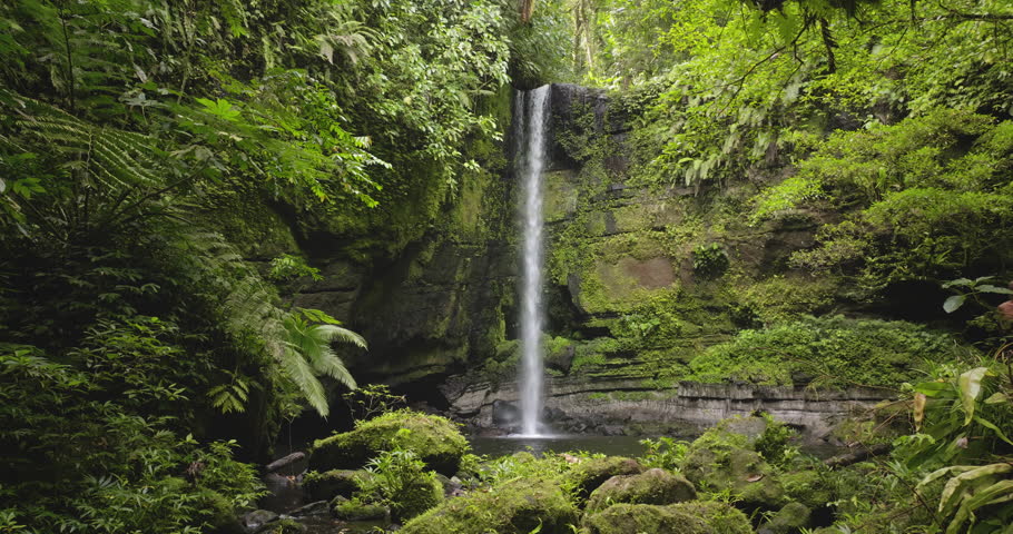 High jungle waterfall plummeting into a clear pool surrounded by dense green vegetation and moss covered rocks in vibrant tropical rainforest of the Solomon Islands. Nature background, static shot