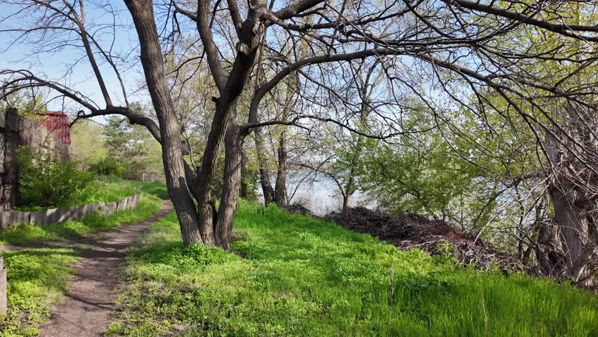 Scenic dirt path winds along a riverbank in a lush park on a sunny spring day. Vibrant green grass grows under large trees with thick bark. A wooden bird feeder hangs from a sturdy tree branch.