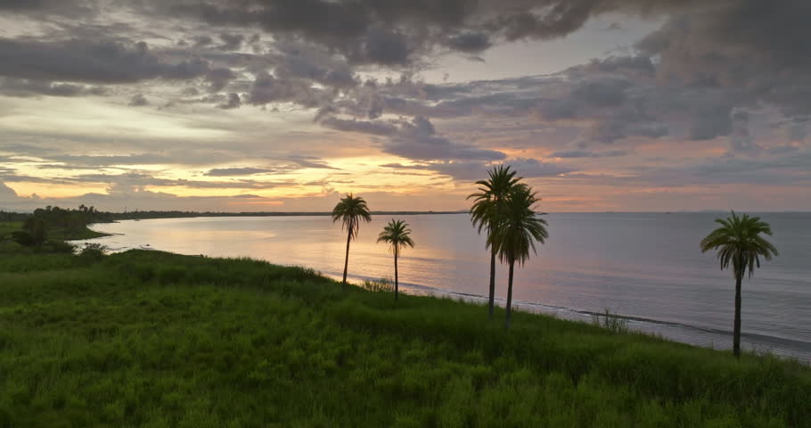 Fiji Islands coastline during a colorful sunset. Palm trees silhouette standing on green grassy hills overlooking calm bay and distant ocean, serene and peaceful tropical landscape. Drone flight shot