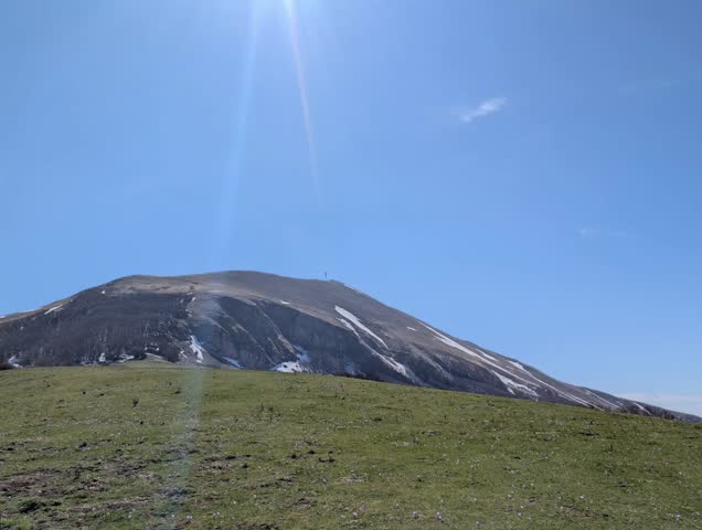 Mountain landscape with green meadow, tree-lined mountain and mountain range in the background under a partly cloudy sky