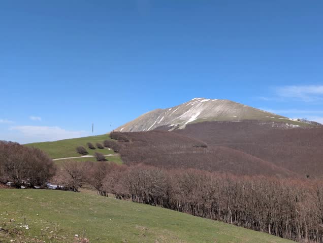 Mountain landscape with green meadow, tree-lined mountain and mountain range in the background under a partly cloudy sky